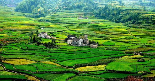 1527845020218293.png 2.png